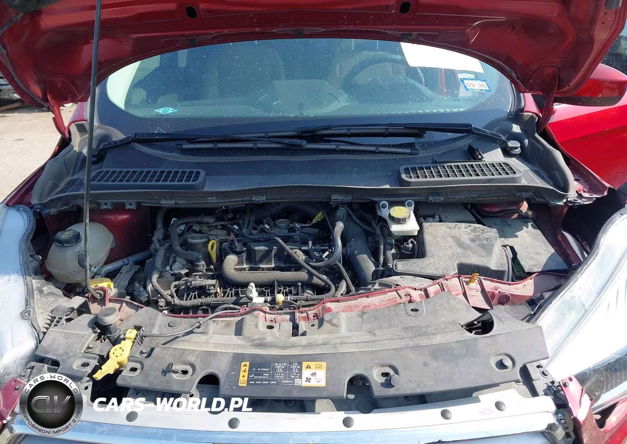 2019 Ford Escape Se VIN:1FMCU0GD0KUA62385 - 10