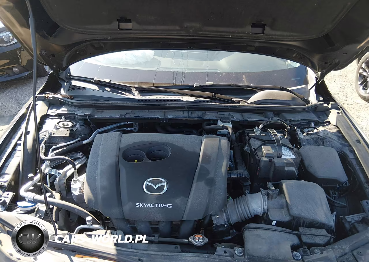 2021 Mazda Mazda3 2.0 VIN:JM1BPAA73M1324081 - 10