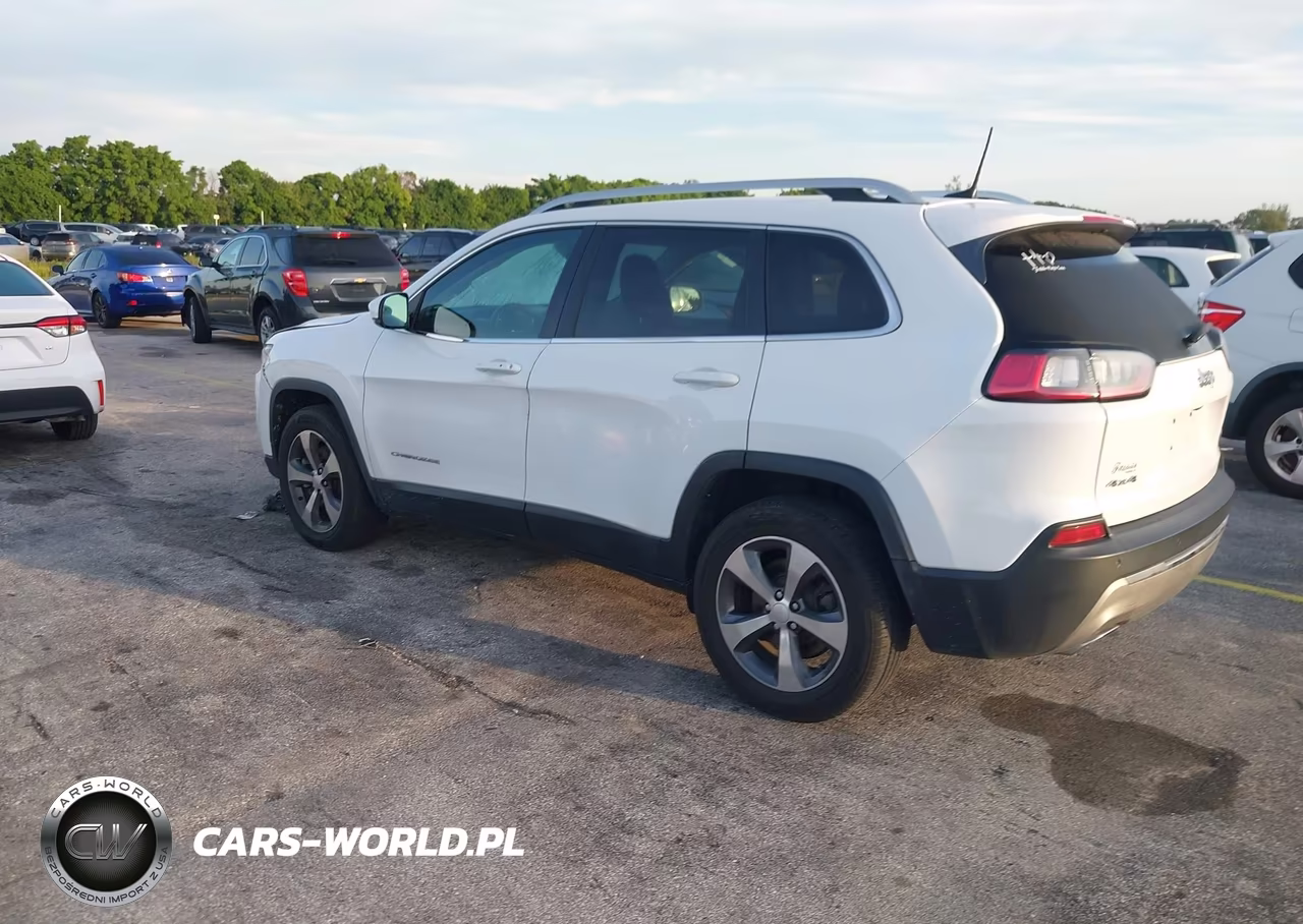 2019 Jeep Cherokee Limited 4X4 VIN:1C4PJMDX9KD395141 - 3