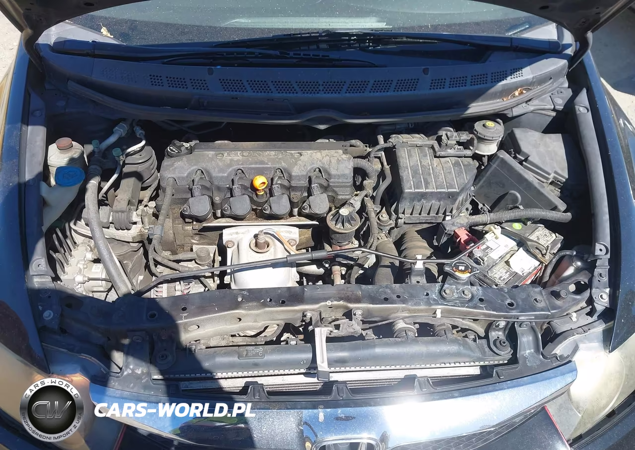 2010 Honda Civic Lx VIN:19XFA1F55AE046383 - 10