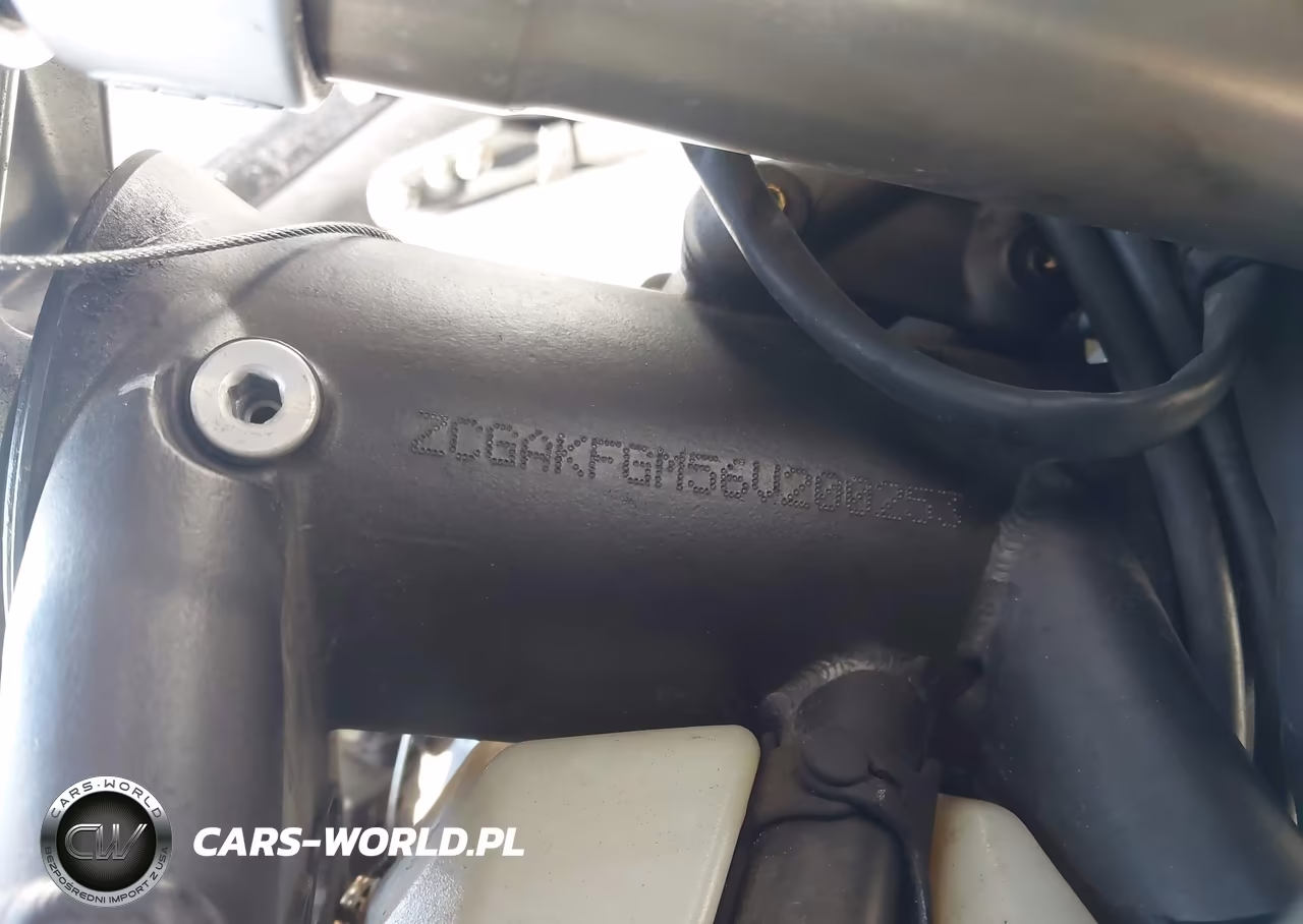 2006 M. V. Agusta F5 VIN:ZCGAKFGM56V200253 - 10