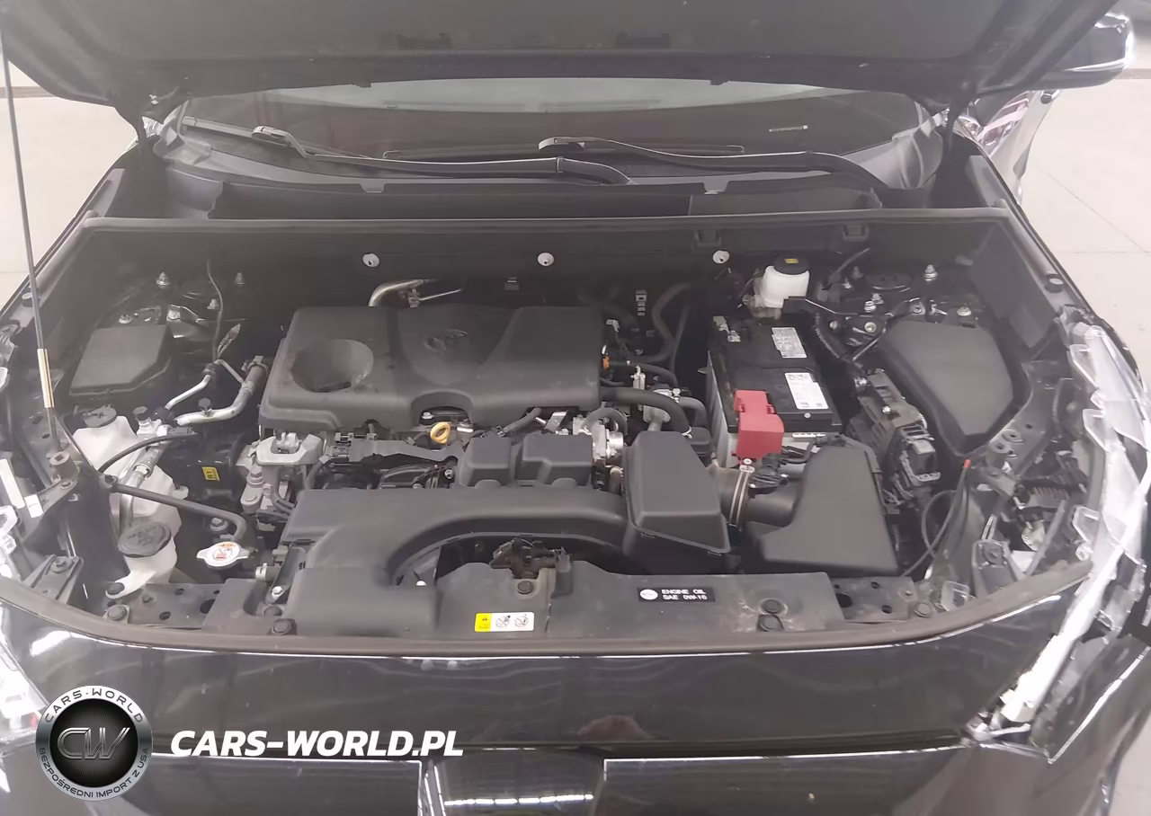2024 Toyota Rav4 Xle VIN:2T3P1RFV3RC436418 - 10