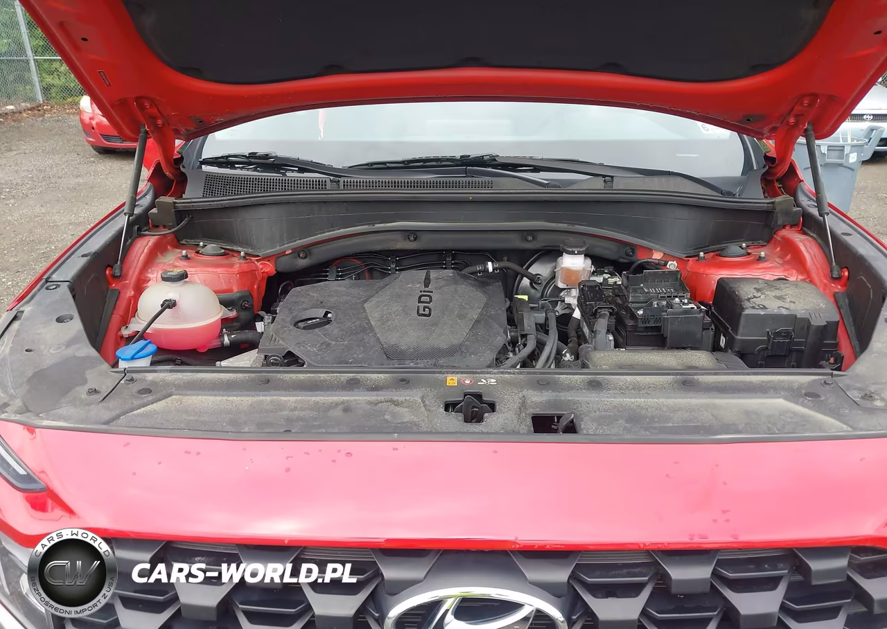 2023 Hyundai Santa Fe Sel VIN:5NMS2DAJXPH582846 - 10