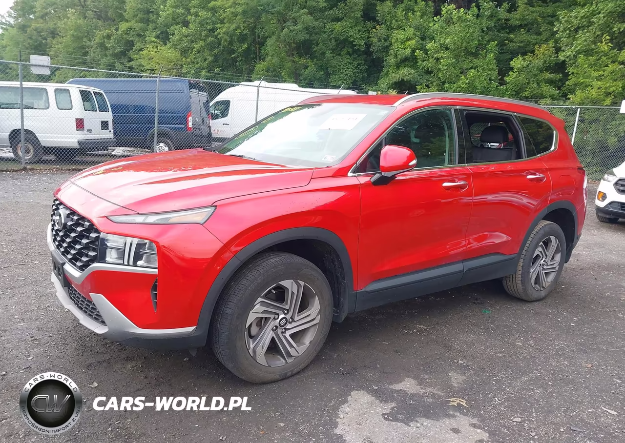 2023 Hyundai Santa Fe Sel VIN:5NMS2DAJXPH582846 - 2