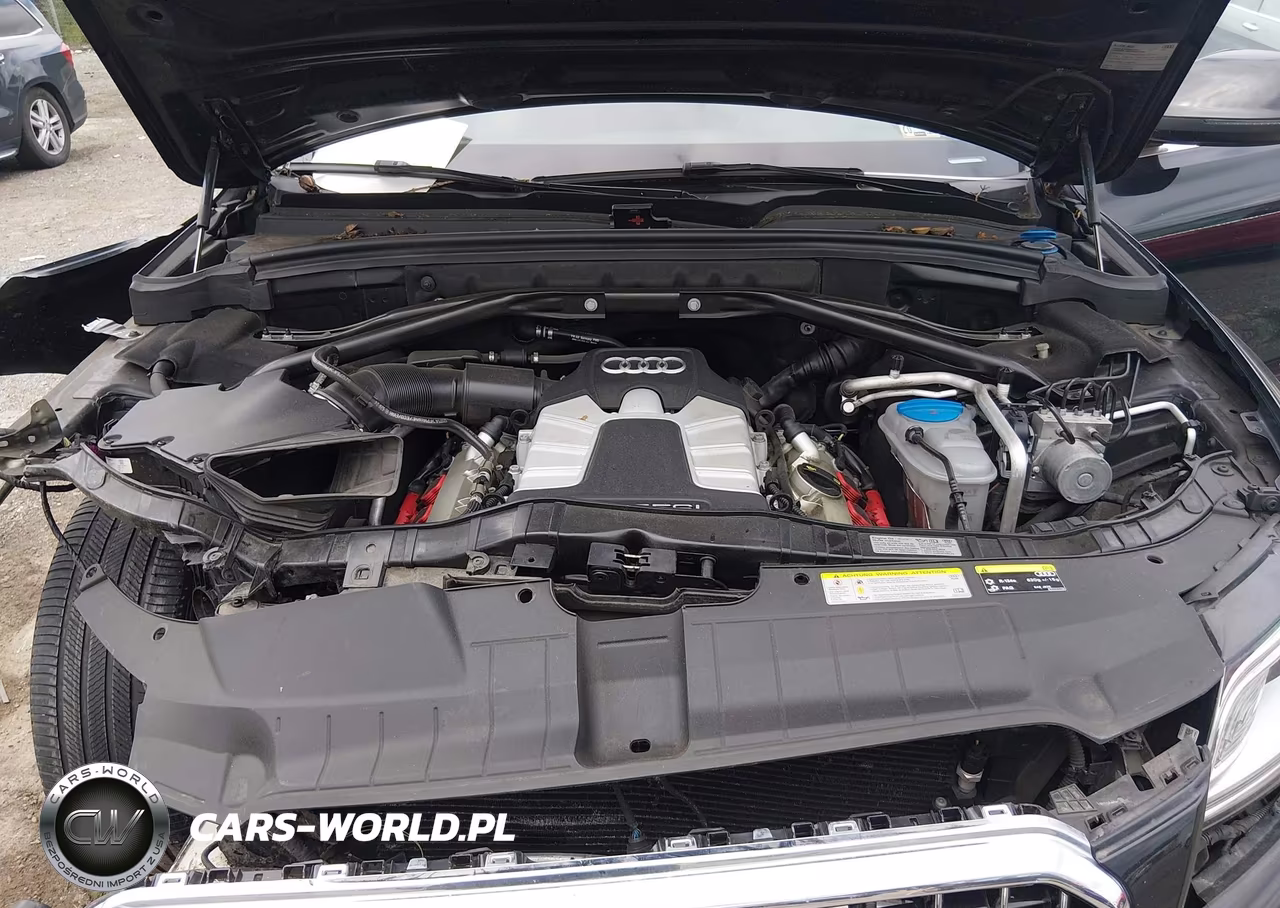2014 Audi Q5 3.0T Premium Plus VIN:WA1DGAFP1EA029767 - 10