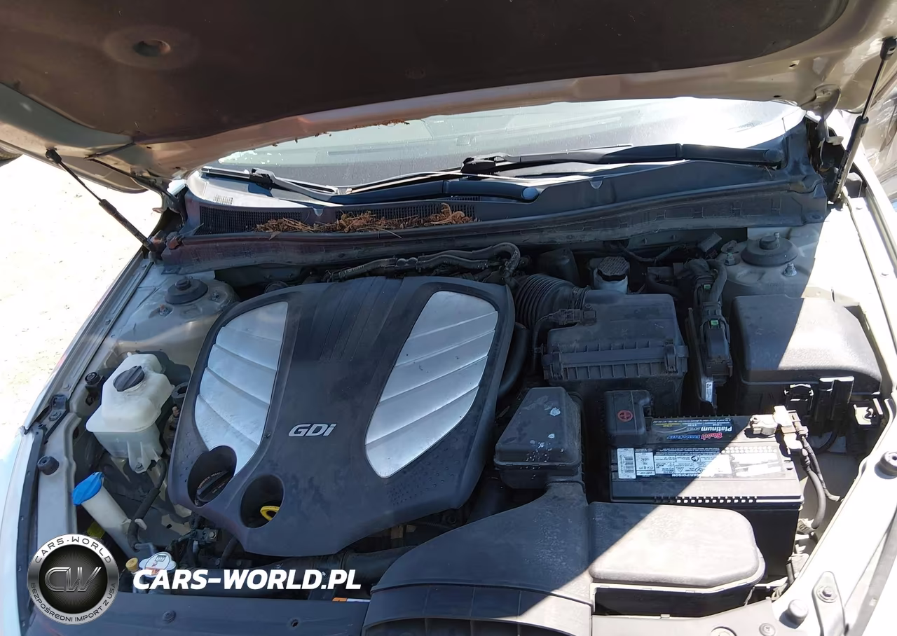 2014 Kia Cadenza Premium VIN:KNALN4D74E5120887 - 10