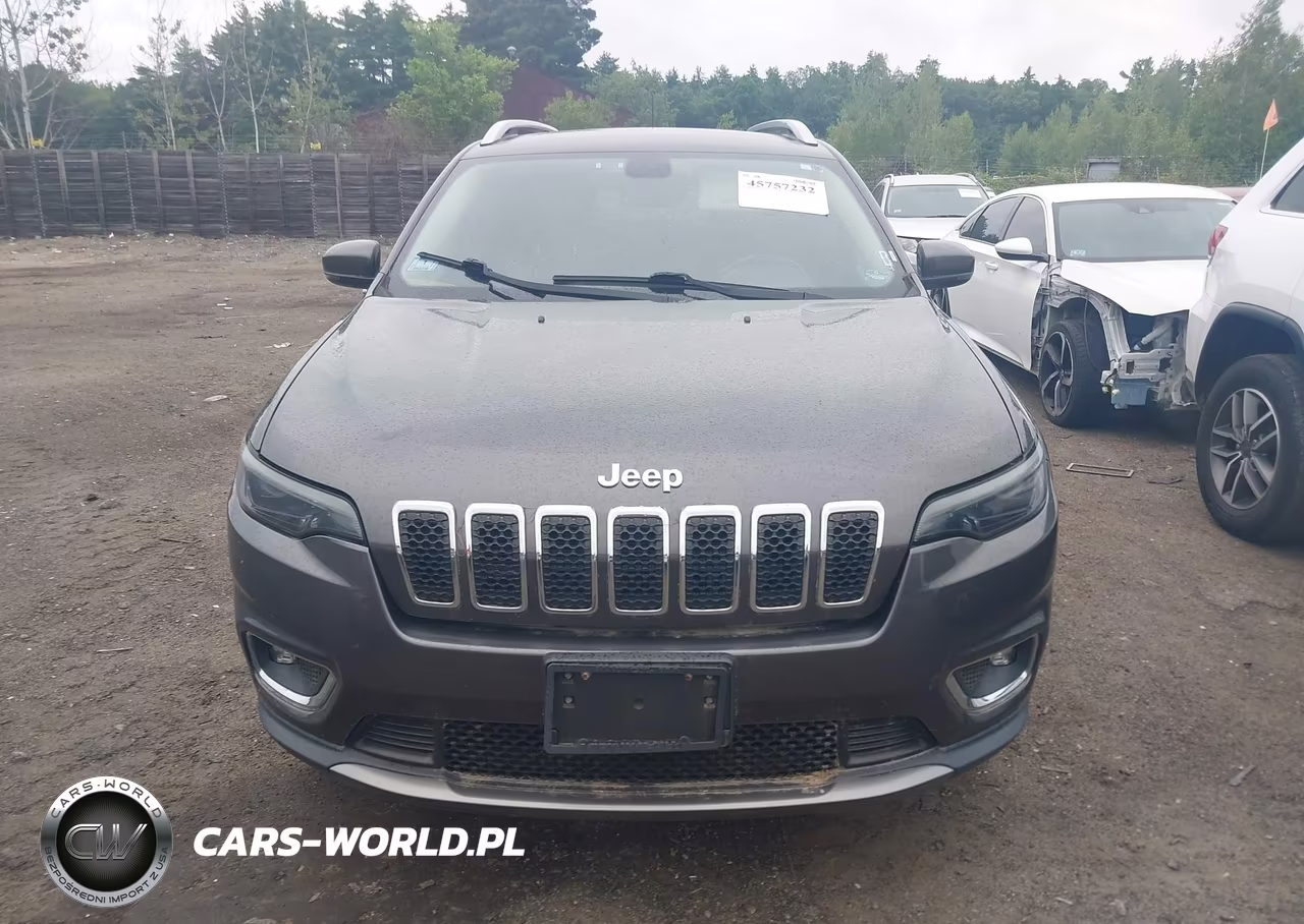 2019 Jeep Cherokee Limited 4X4 VIN:1C4PJMDX9KD253212 - 12