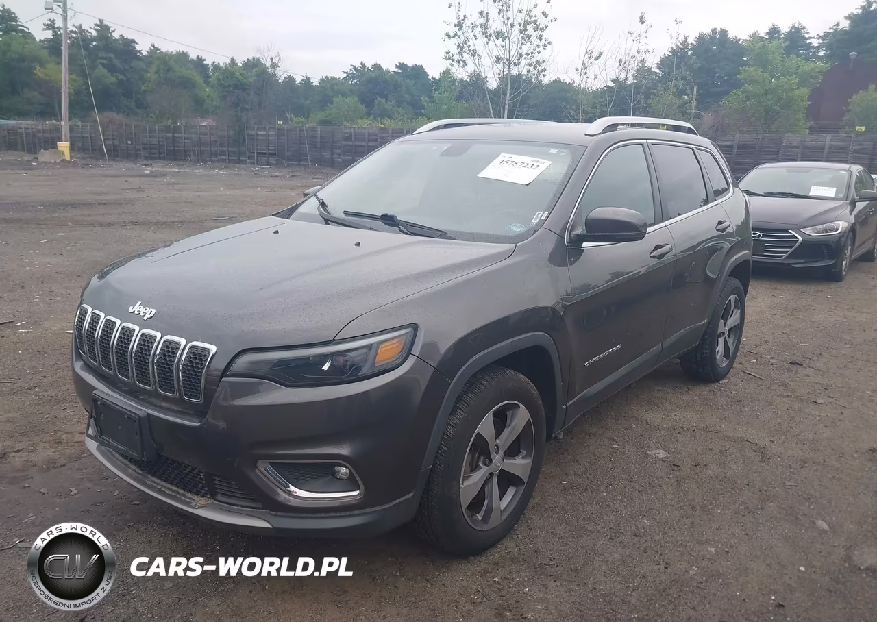 2019 Jeep Cherokee Limited 4X4 VIN:1C4PJMDX9KD253212 - 2