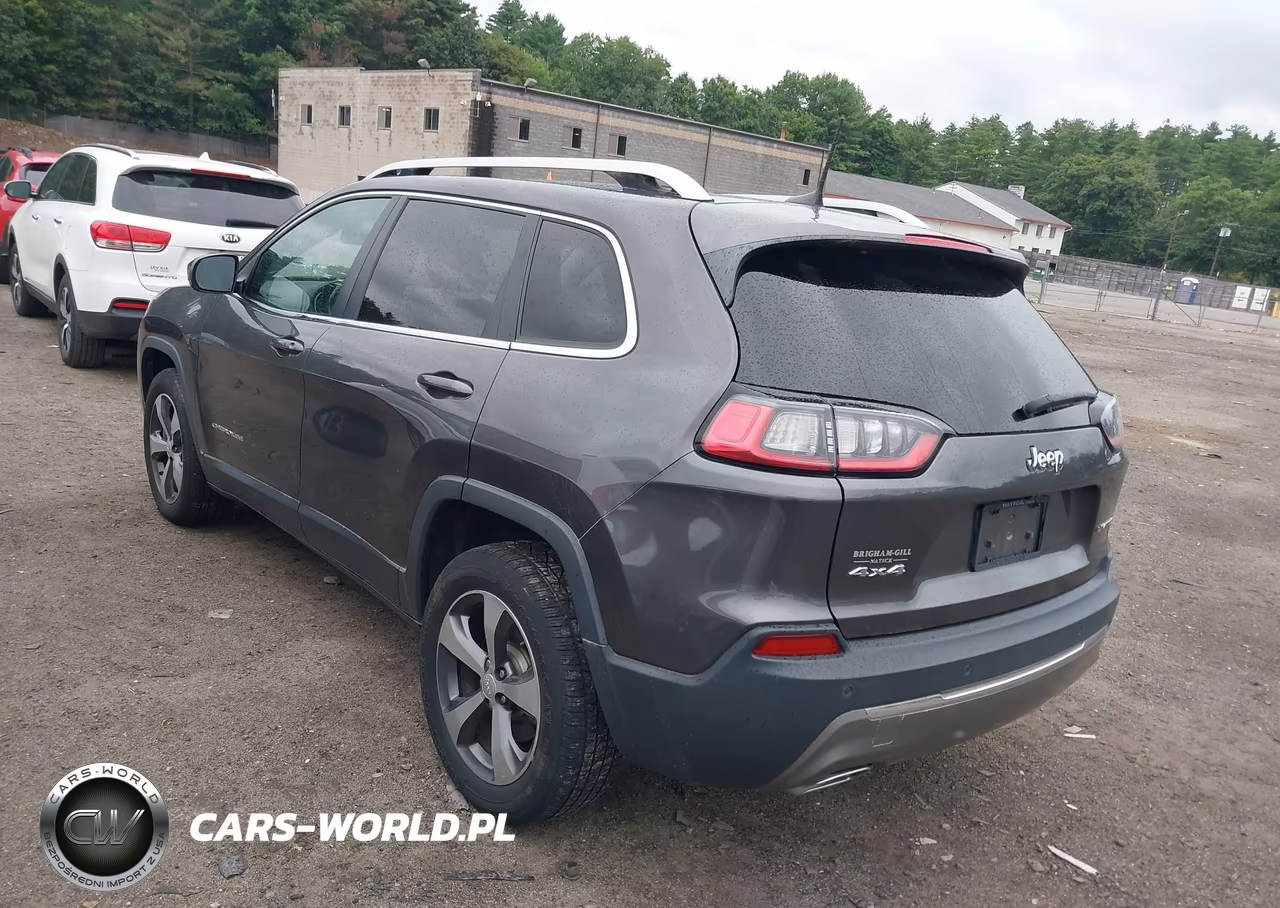 2019 Jeep Cherokee Limited 4X4 VIN:1C4PJMDX9KD253212 - 3