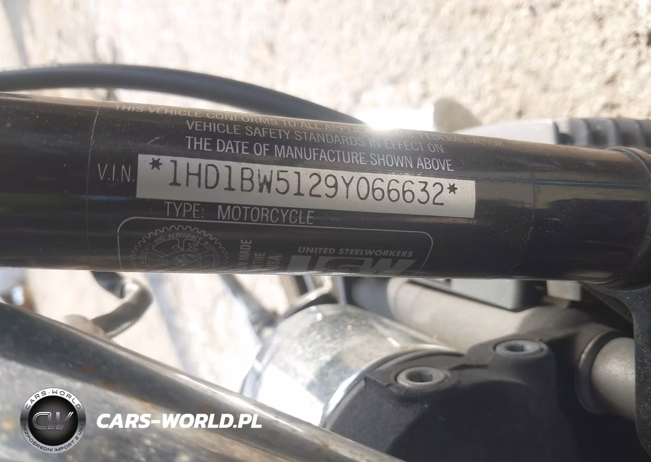 2009 Harley-Davidson Flstc VIN:1HD1BW5129Y066632 - 10
