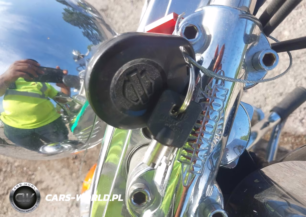 2009 Harley-Davidson Flstc VIN:1HD1BW5129Y066632 - 11
