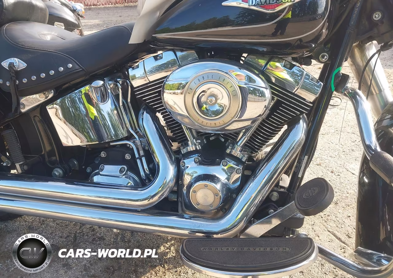 2009 Harley-Davidson Flstc VIN:1HD1BW5129Y066632 - 8