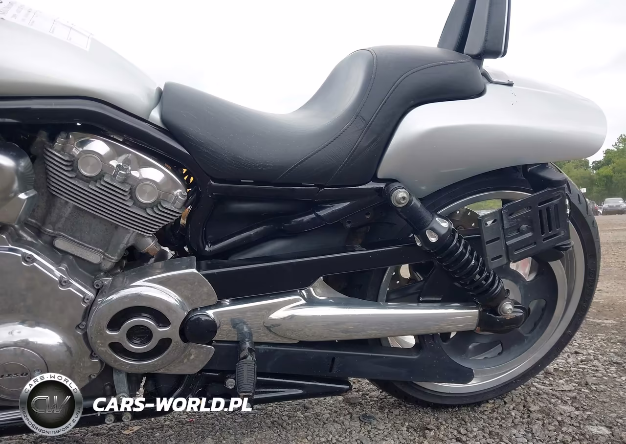 2009 Harley-Davidson Vrscf VIN:1HD1HPH119K803256 - 18