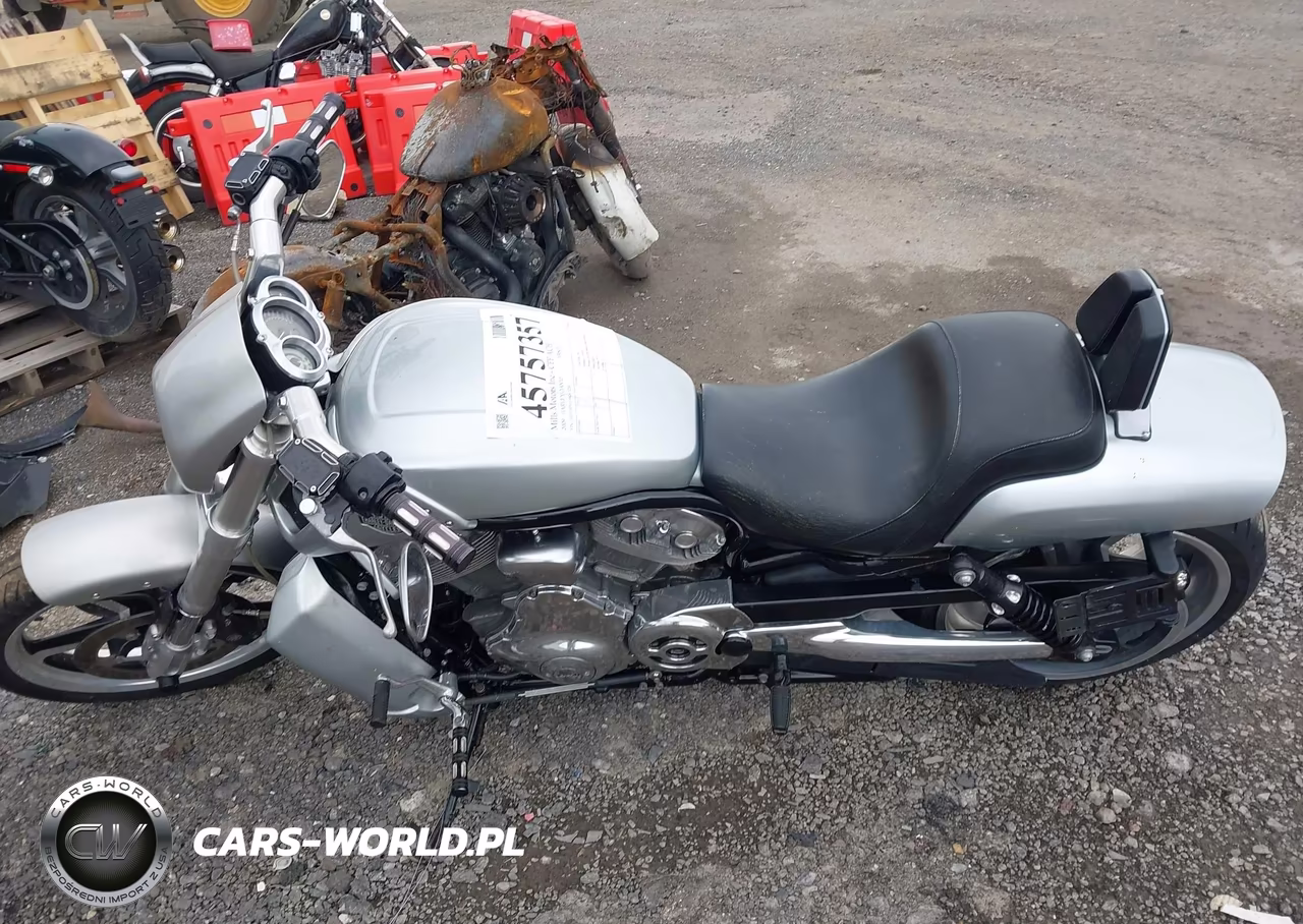 2009 Harley-Davidson Vrscf VIN:1HD1HPH119K803256 - 19