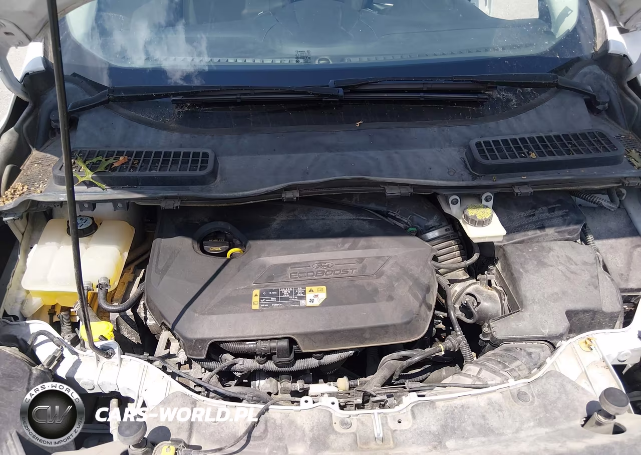 2014 Ford Escape Se VIN:1FMCU0GX7EUE15302 - 10