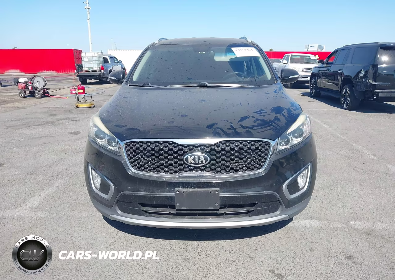 2017 Kia Sorento 3.3L Ex VIN:5XYPH4A52HG277800 - 12