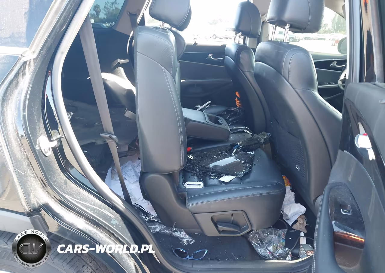 2017 Kia Sorento 3.3L Ex VIN:5XYPH4A52HG277800 - 8