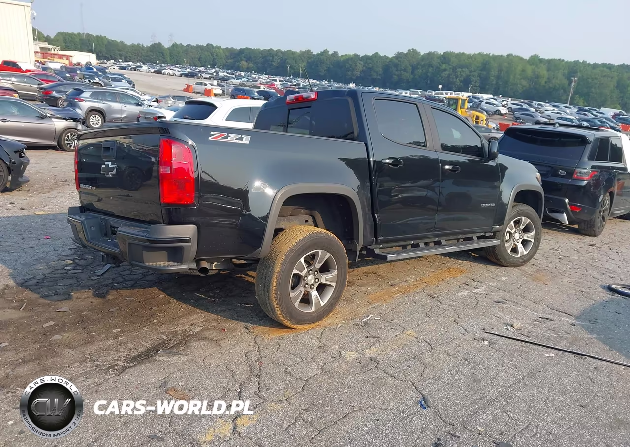 2017 Chevrolet Colorado 4Wd Z71 VIN:1GCGTDEN8H1199645 - 4
