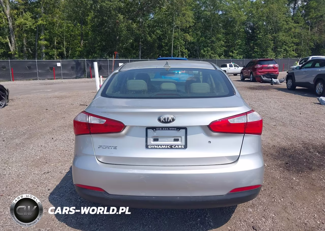 2014 Kia Forte Lx VIN:KNAFK4A64E5066749 - 17