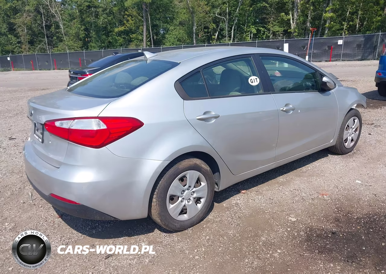 2014 Kia Forte Lx VIN:KNAFK4A64E5066749 - 4
