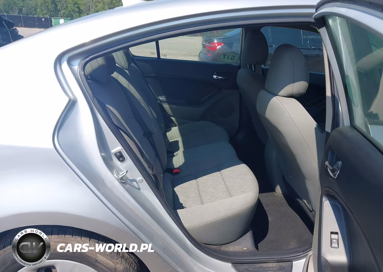 2014 Kia Forte Lx VIN:KNAFK4A64E5066749 - 8