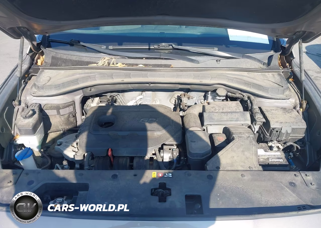 2020 Hyundai Santa Fe Sel VIN:5NMS33AD0LH191815 - 10