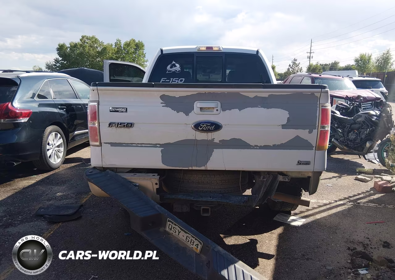 2010 Ford F-150 Lariat VIN:1FTFW1CV7AKA66184 - 16