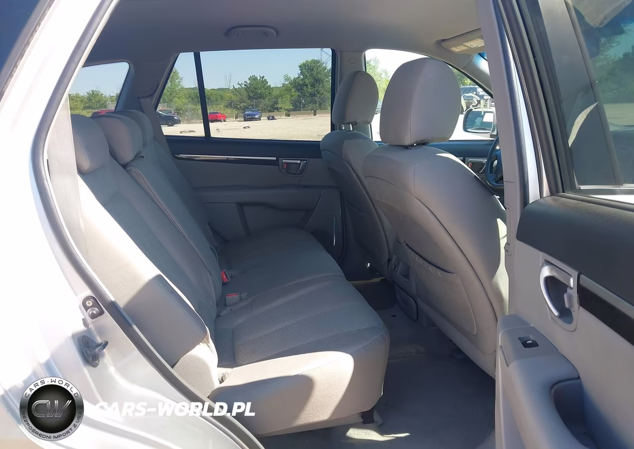 2007 Hyundai Santa Fe Gls VIN:5NMSG13D87H098763 - 8