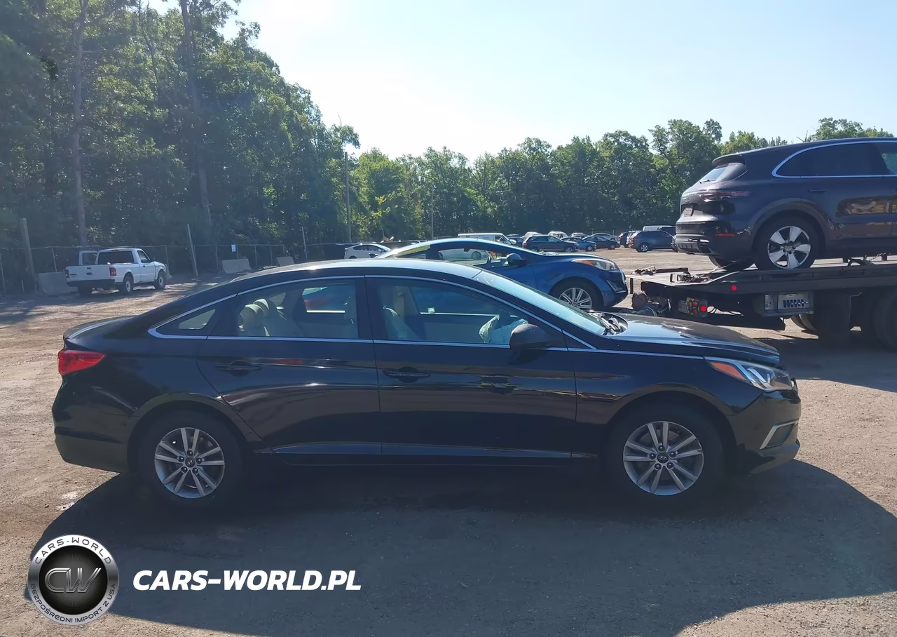 2016 Hyundai Sonata Se VIN:5NPE24AF2GH260682 - 13