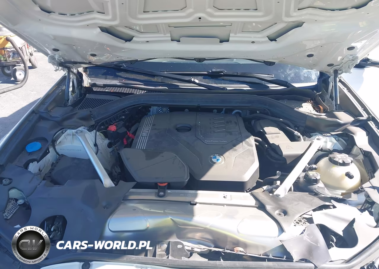 2023 BMW X3 Sdrive30I VIN:5UX43DP00P9P52498 - 10