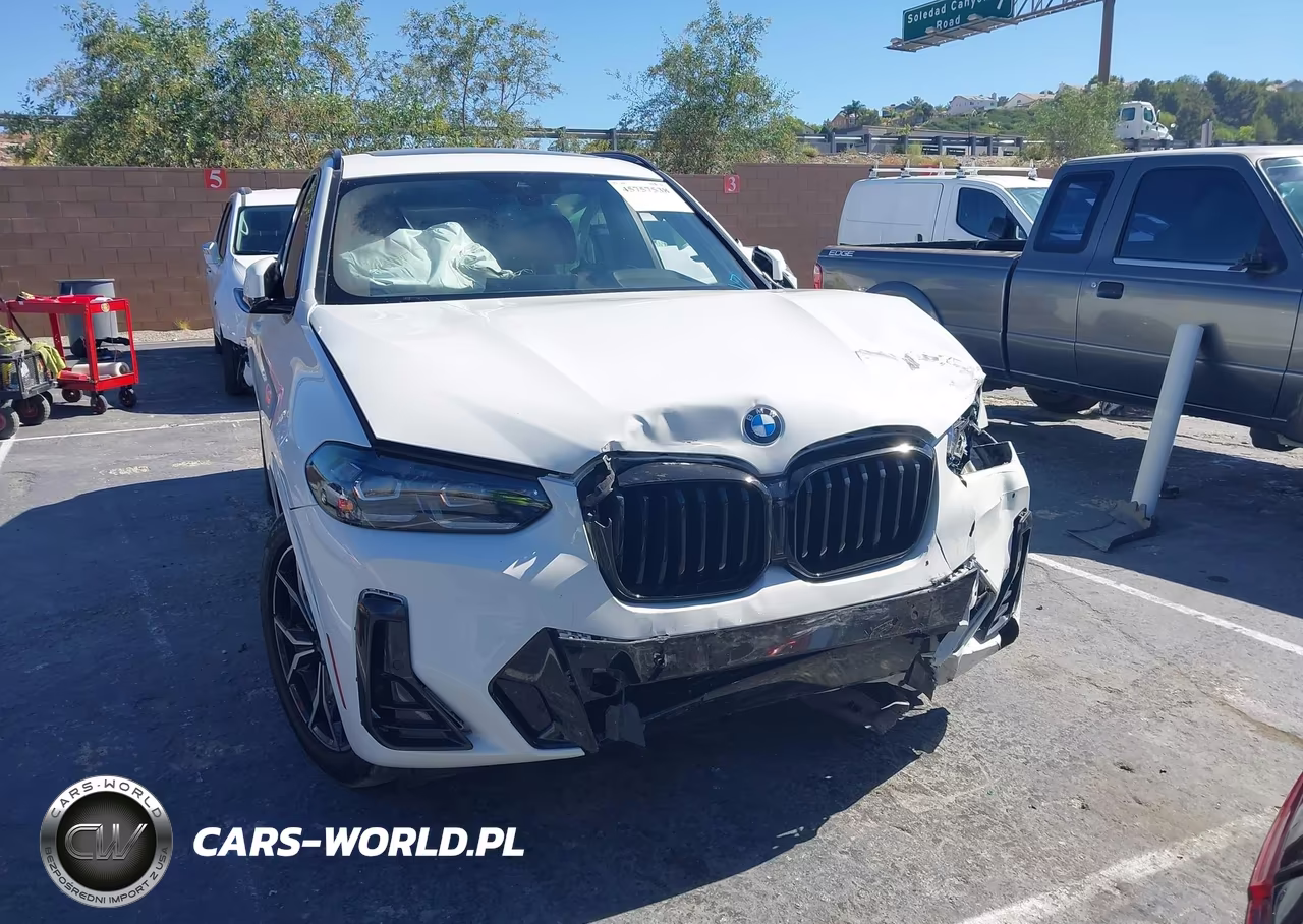 2023 BMW X3 Sdrive30I VIN:5UX43DP00P9P52498 - 11