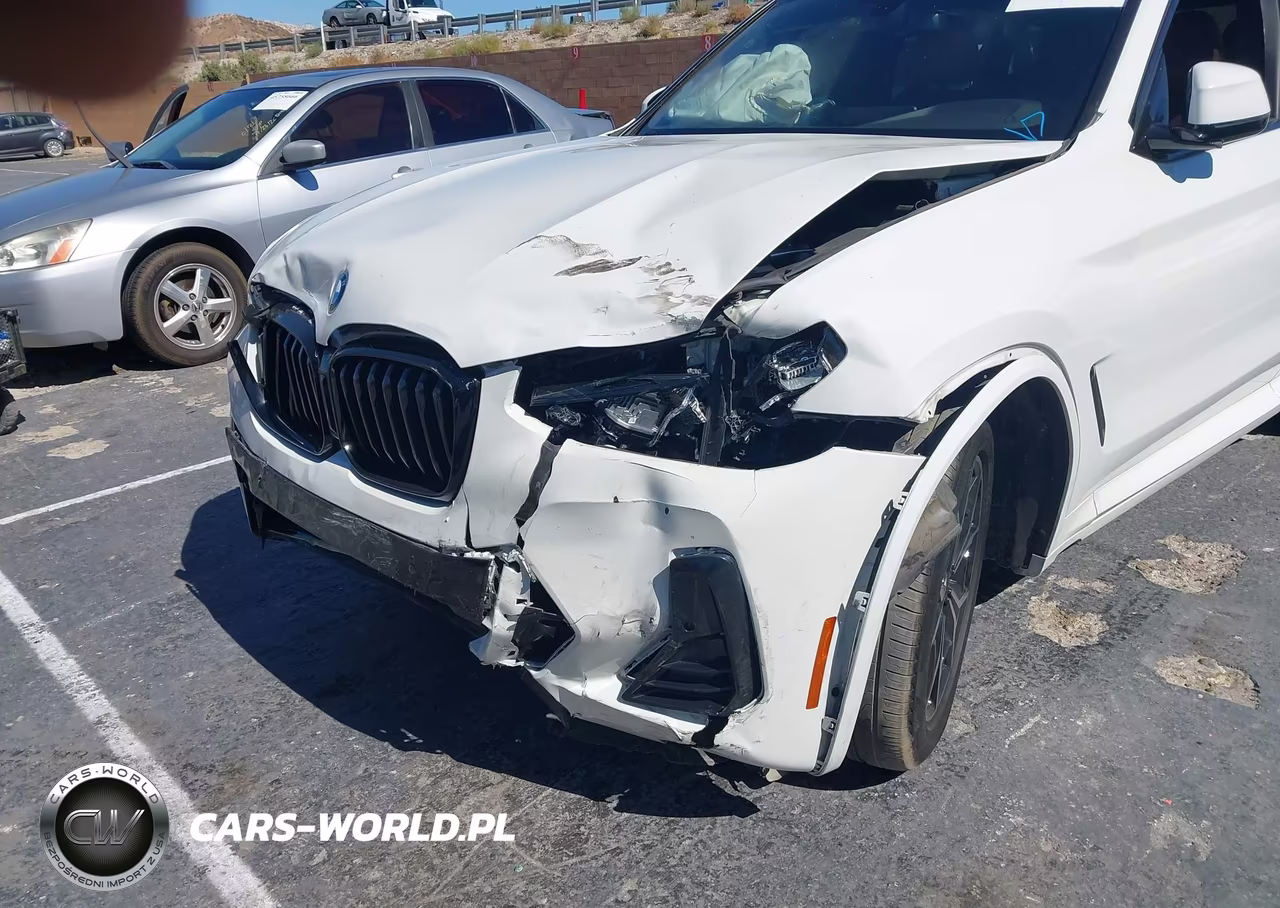 2023 BMW X3 Sdrive30I VIN:5UX43DP00P9P52498 - 6