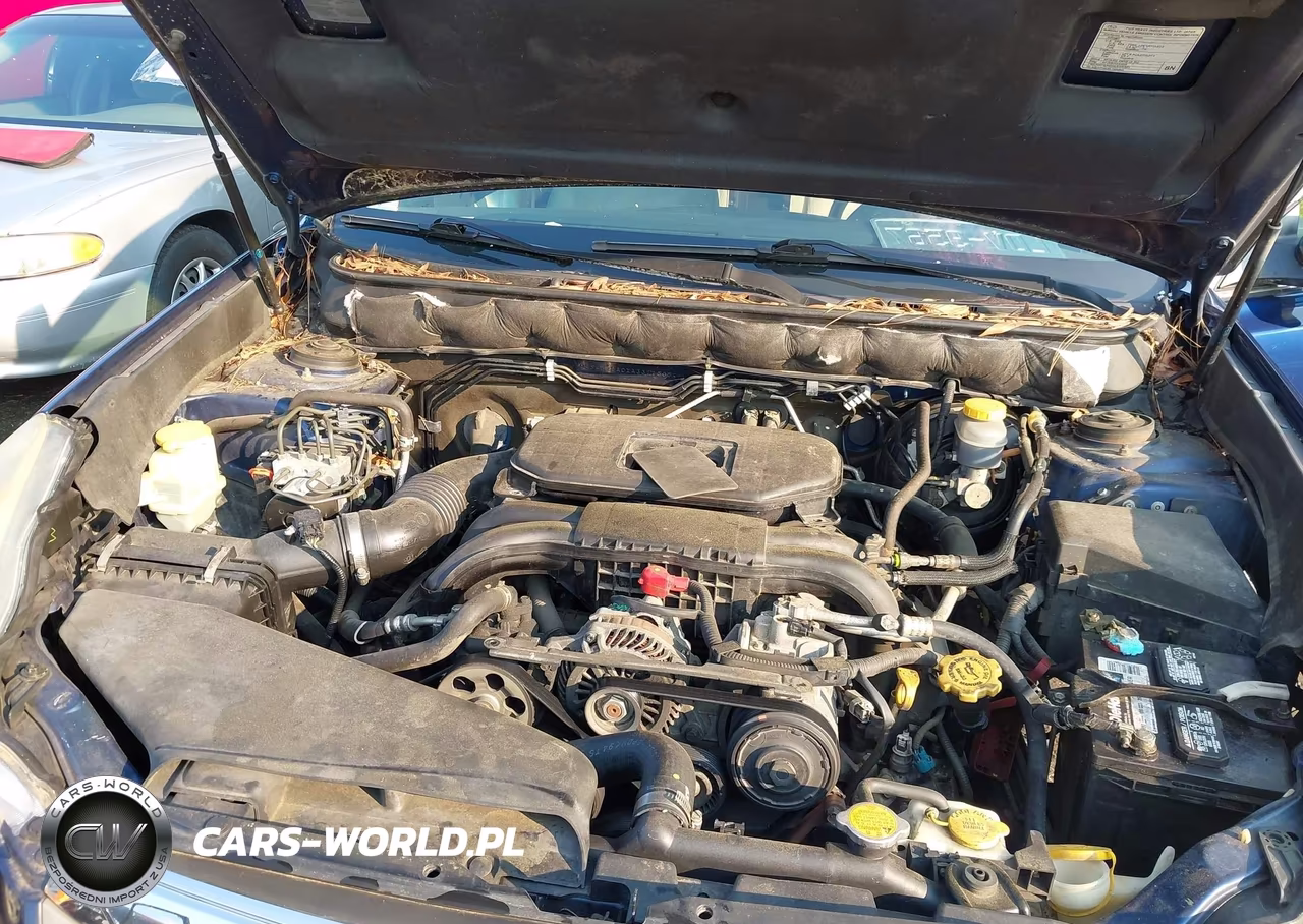 2010 Subaru Outback 2.5I VIN:4S4BRCACXA3311505 - 10