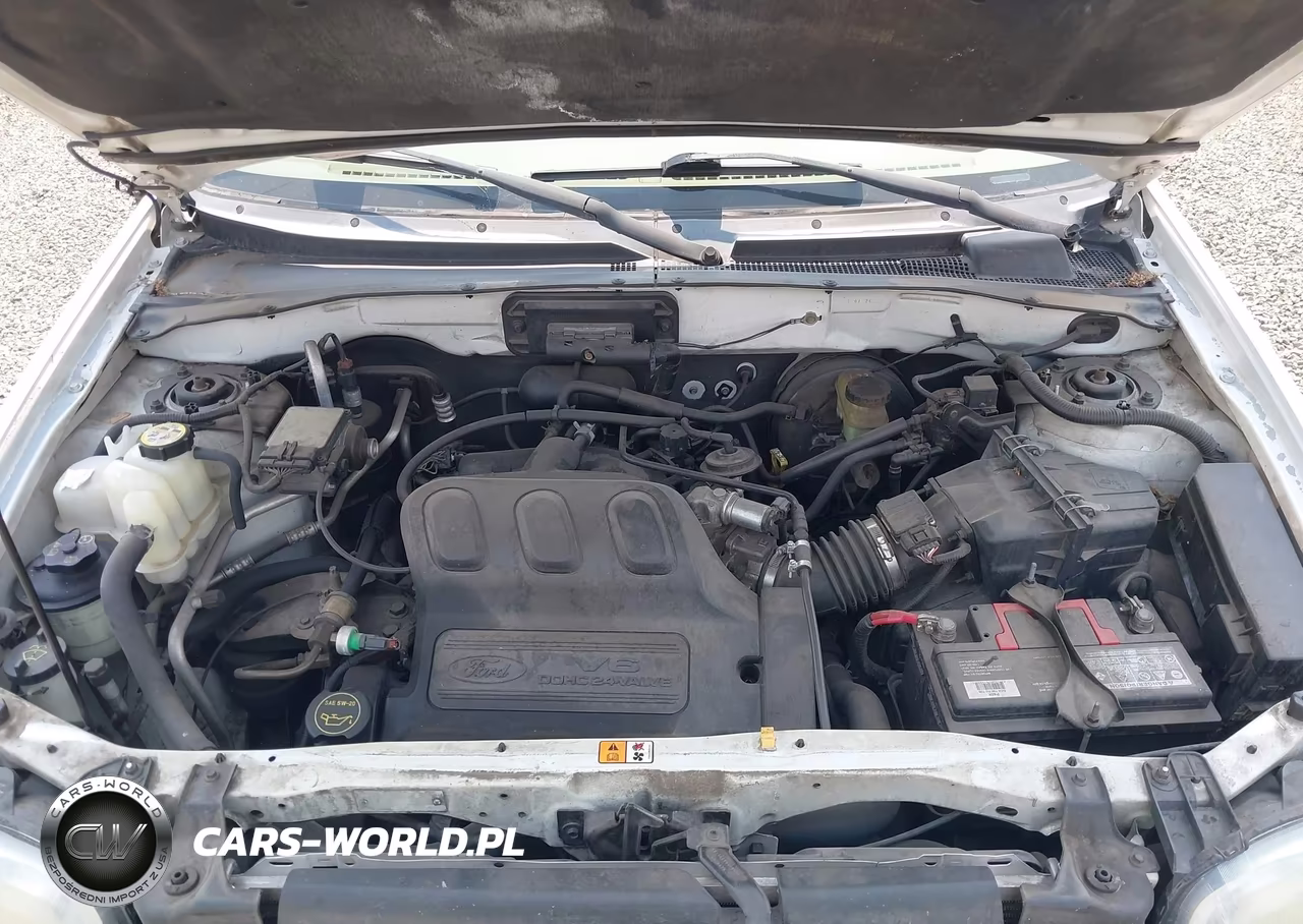 2003 Ford Escape Xlt VIN:1FMYU93193KC04882 - 10