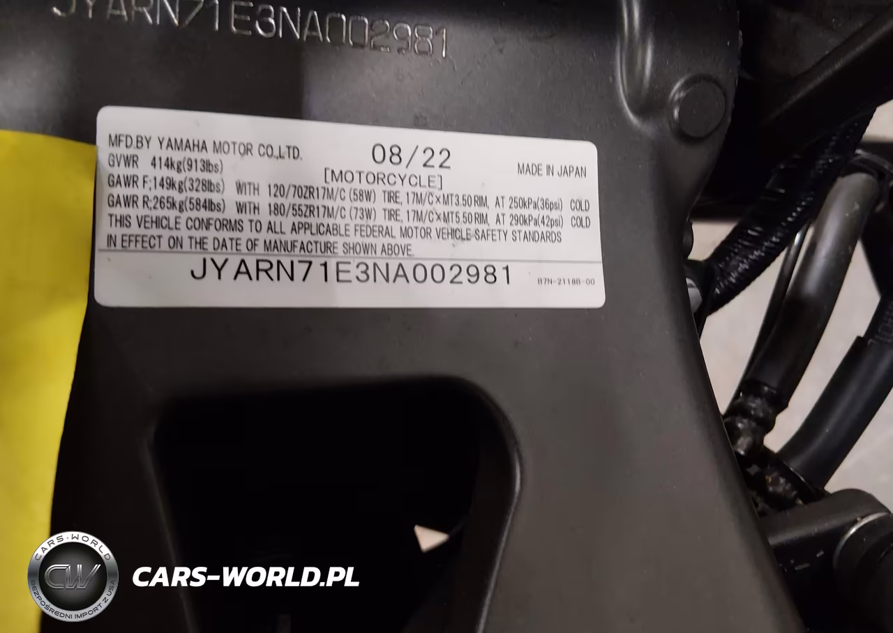 2022 Yamaha Mt09 VIN:JYARN71E3NA002981 - 10
