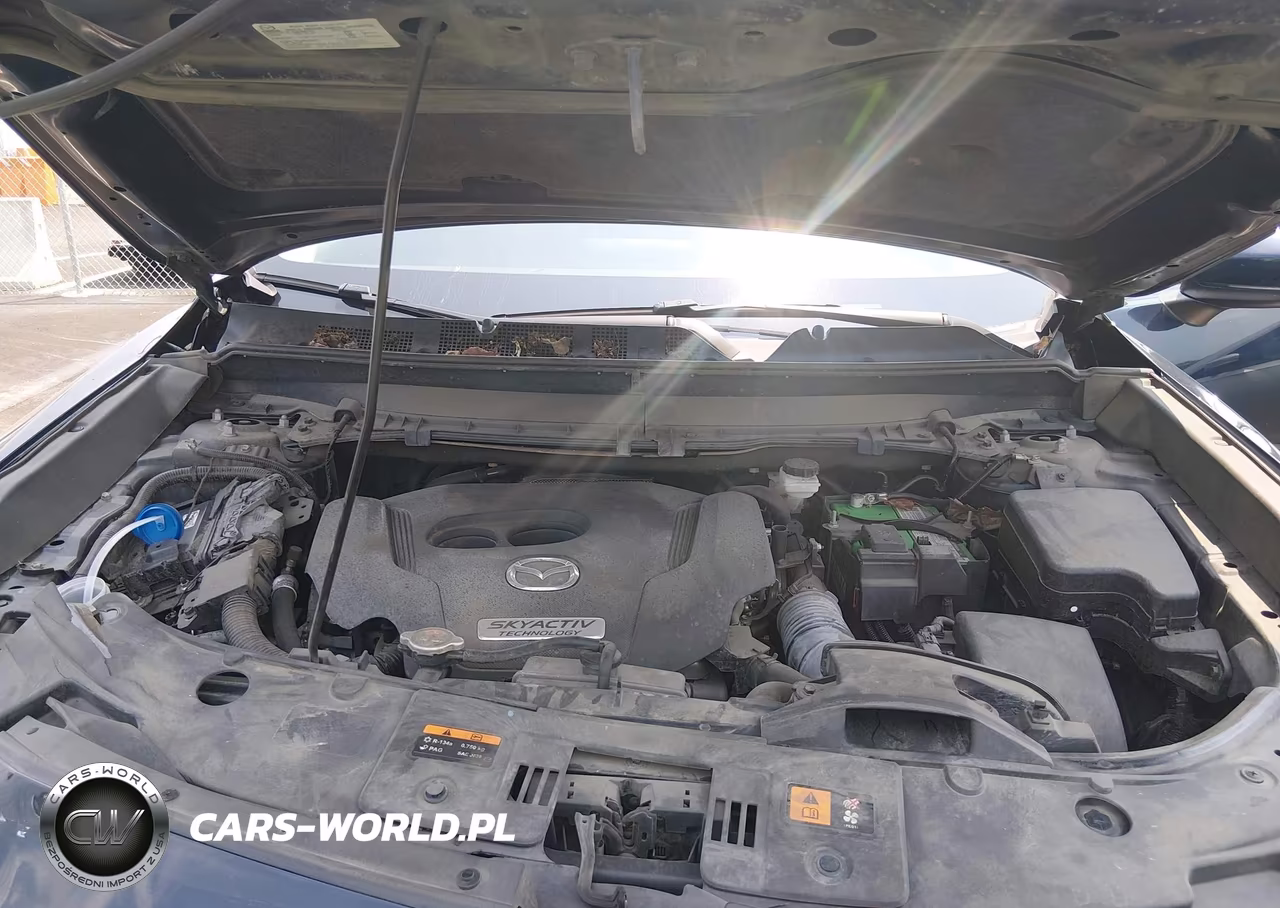 2019 Mazda Cx-9 Touring VIN:JM3TCBCY7K0302073 - 10