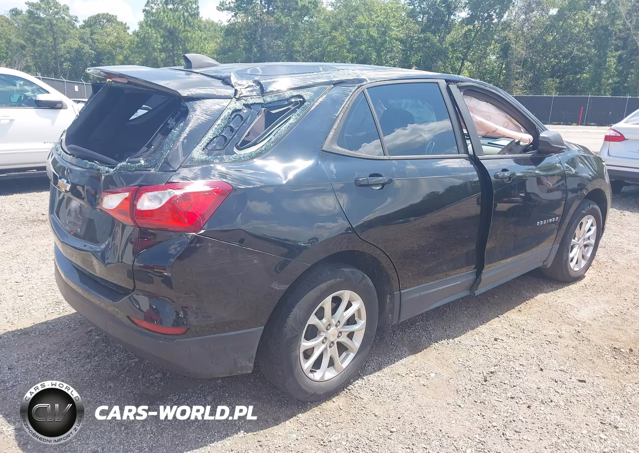 2020 Chevrolet Equinox Fwd Ls VIN:2GNAXHEV0L6215559 - 4