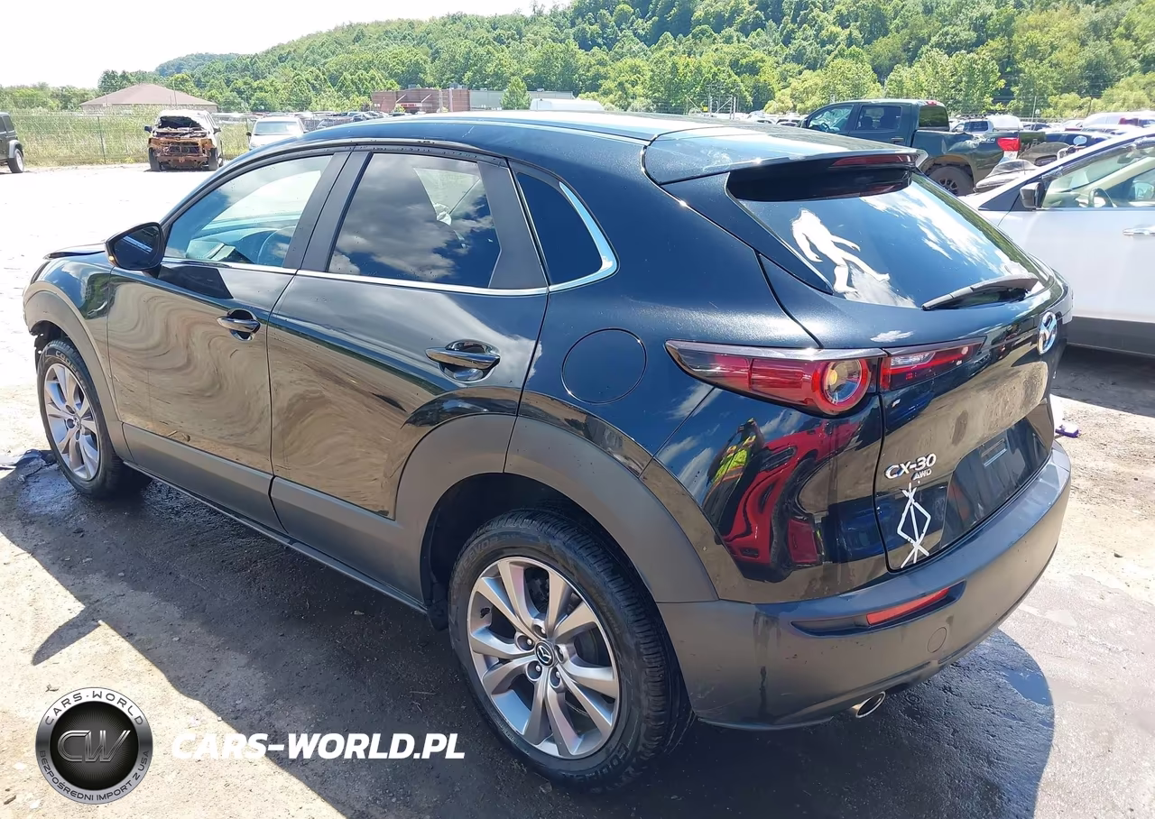 2020 Mazda Cx-30 Select Package VIN:3MVDMBCL2LM116954 - 3