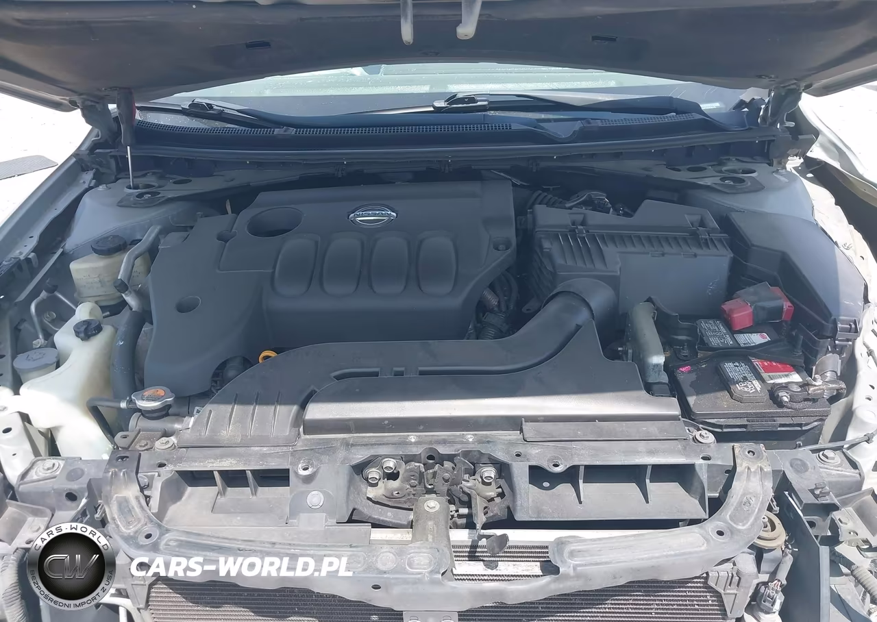 2010 Nissan Altima 2.5 VIN:1N4AL2AP7AN548316 - 10