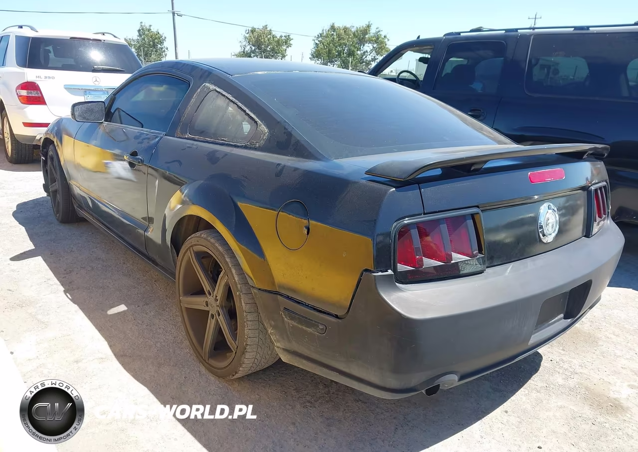 2005 Ford Mustang V6 Deluxe-V6 Premium VIN:1ZVFT80N955155049 - 3