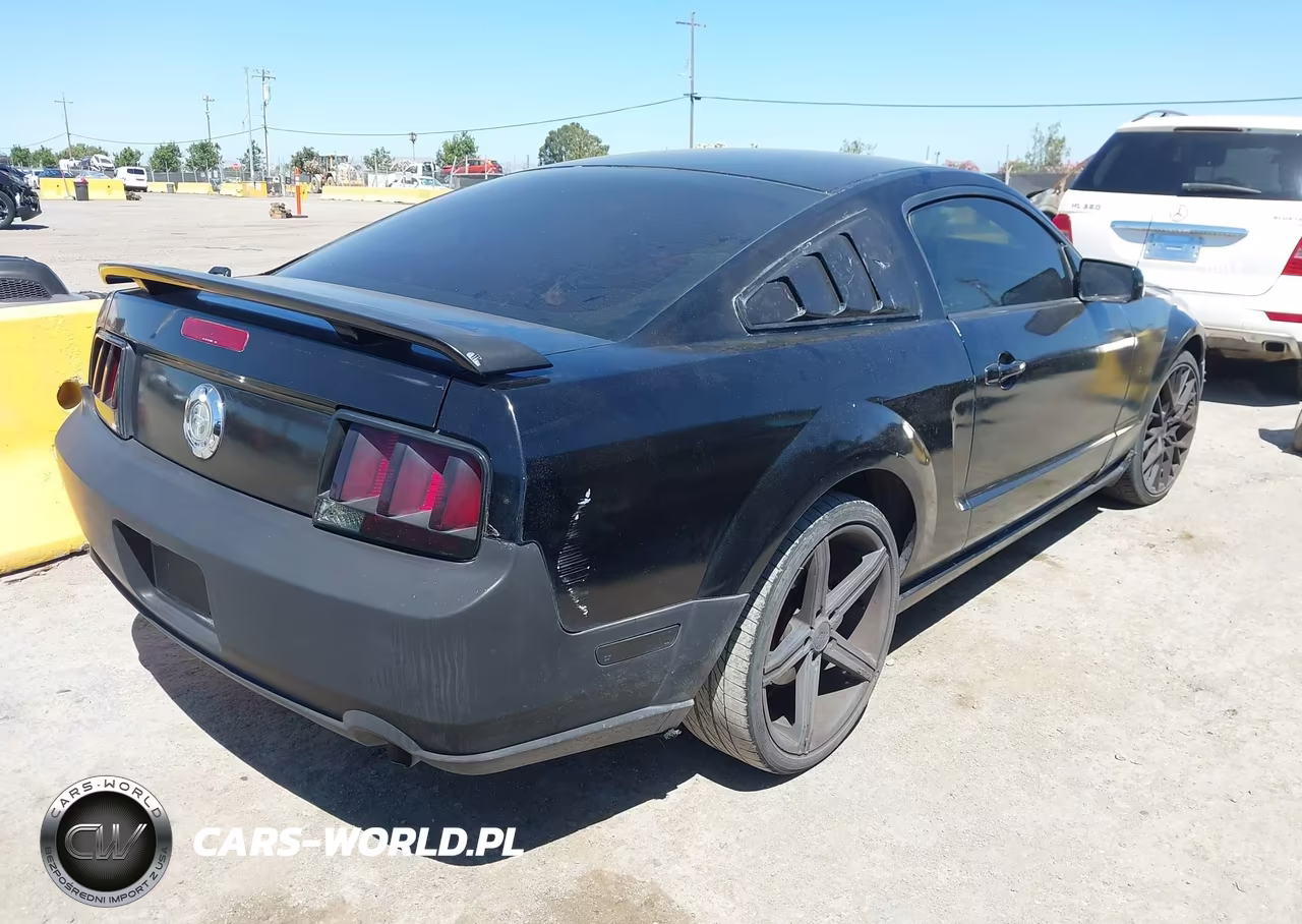 2005 Ford Mustang V6 Deluxe-V6 Premium VIN:1ZVFT80N955155049 - 4