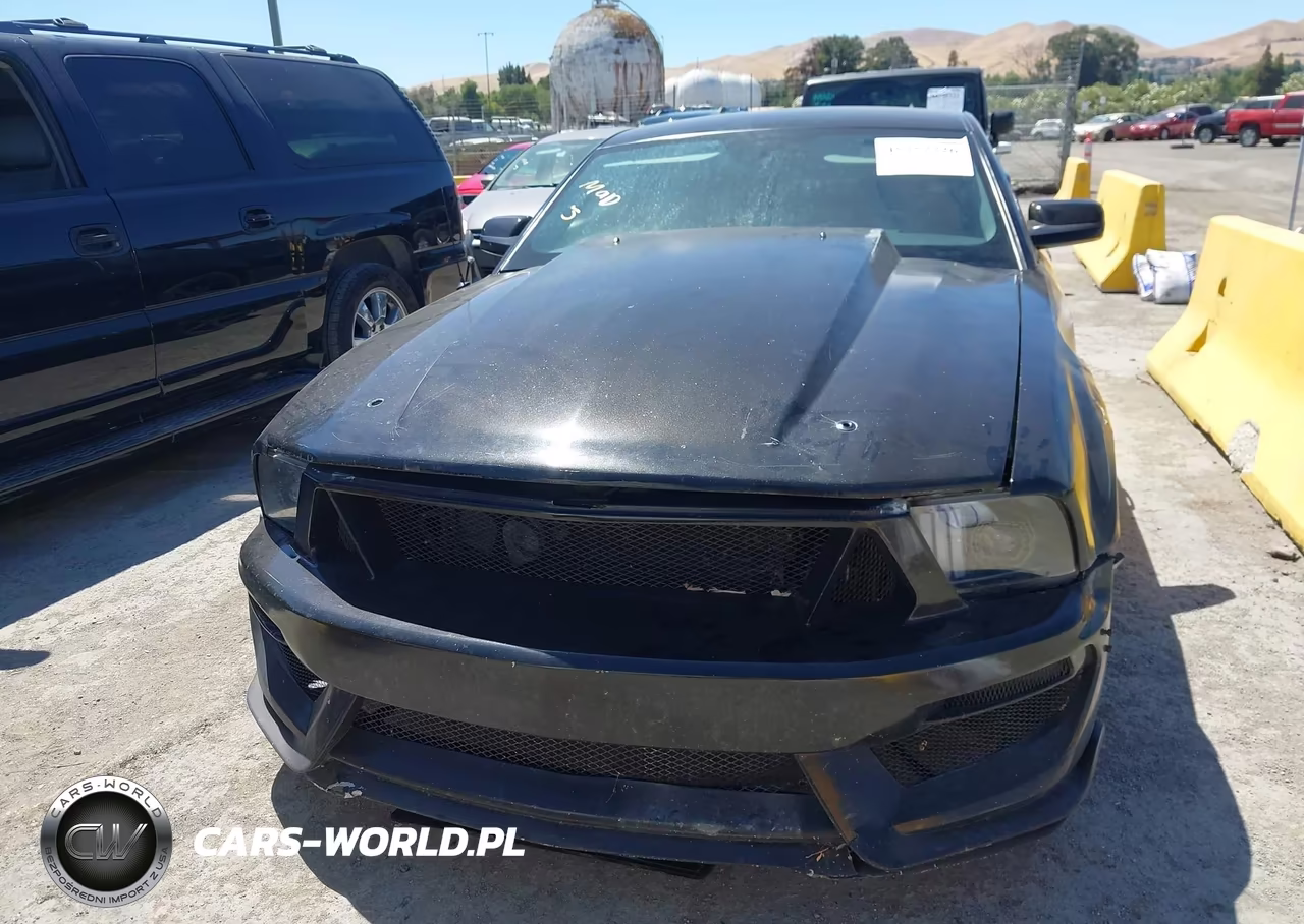2005 Ford Mustang V6 Deluxe-V6 Premium VIN:1ZVFT80N955155049 - 6