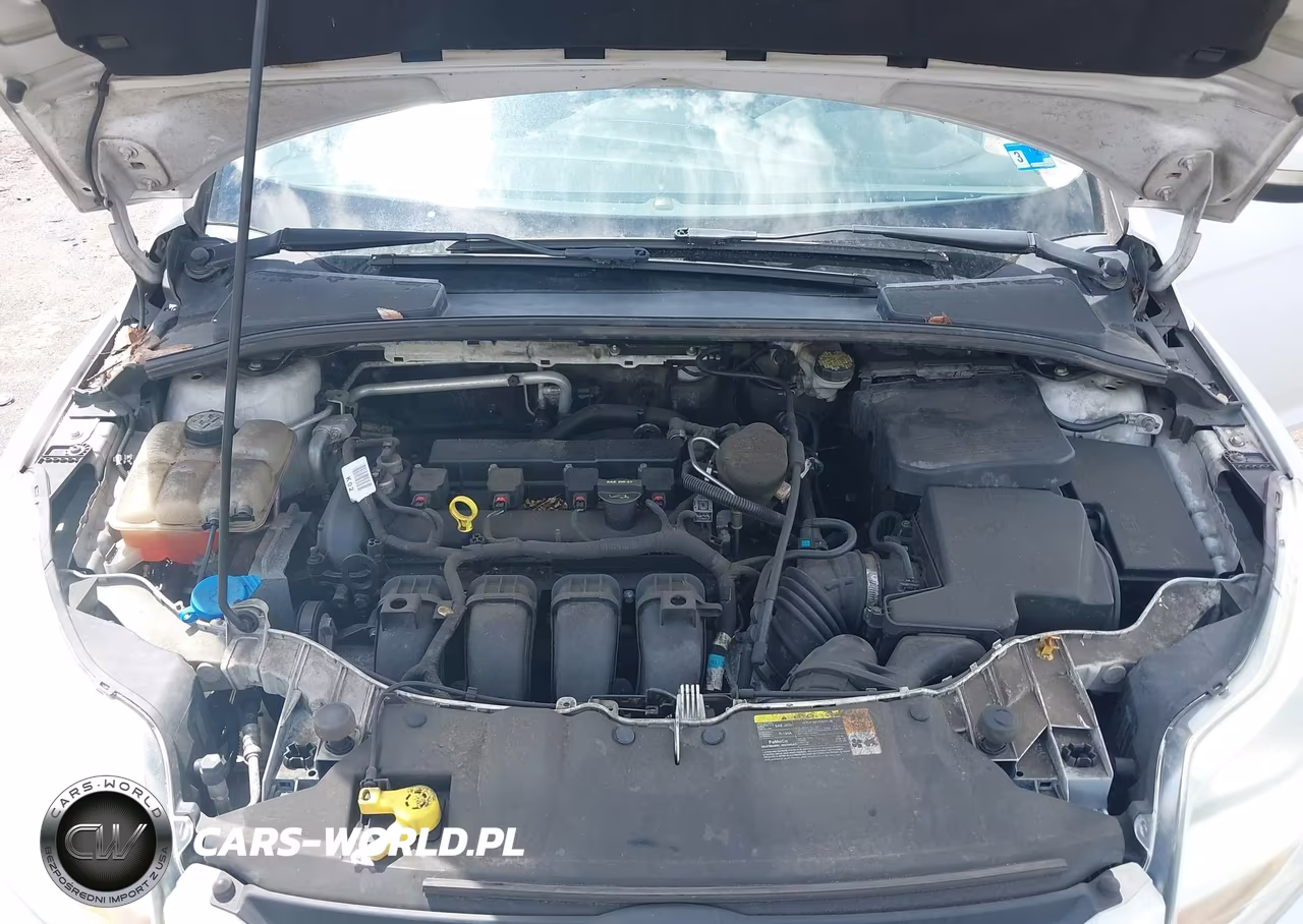 2013 Ford Focus Se VIN:1FADP3F26DL195992 - 10