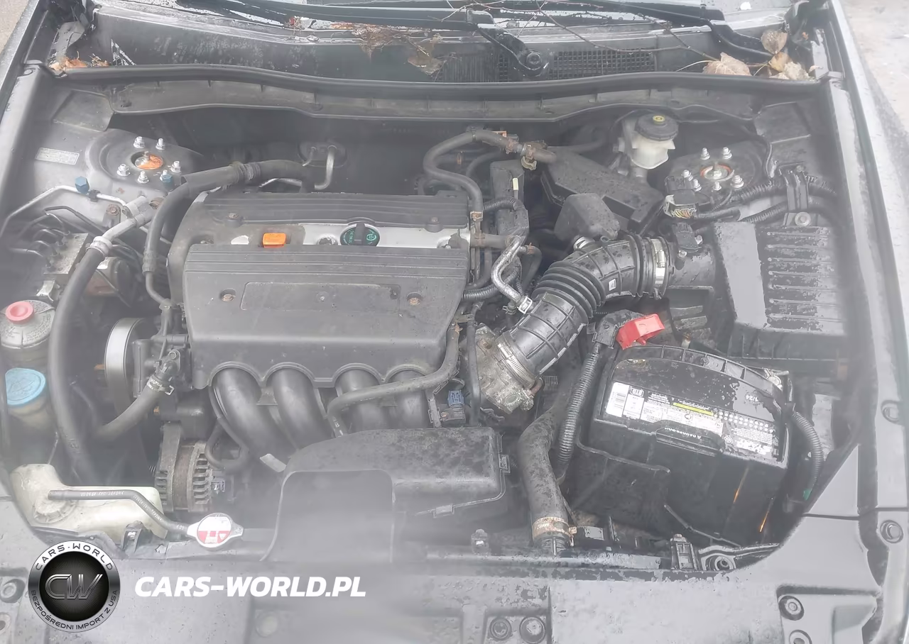 2009 Honda Accord 2.4 Lx VIN:1HGCP26309A113266 - 10