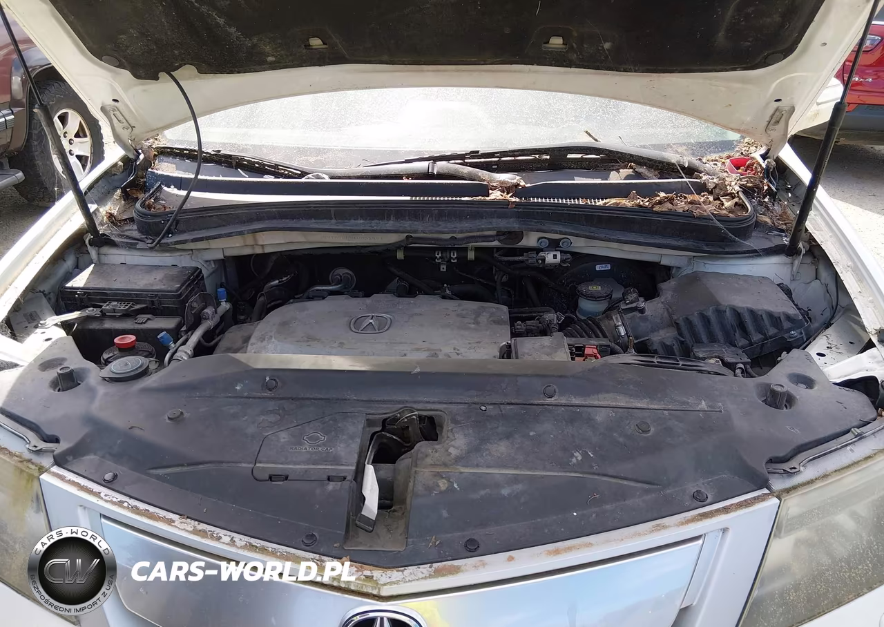 2010 Acura Mdx Technology Package VIN:2HNYD2H66AH003097 - 10