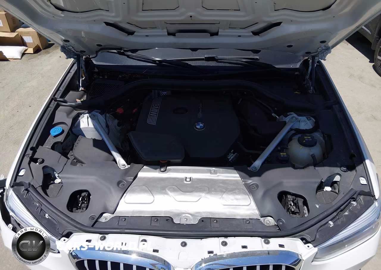 2019 BMW X3 Sdrive30I VIN:5UXTR7C57KLF34926 - 10