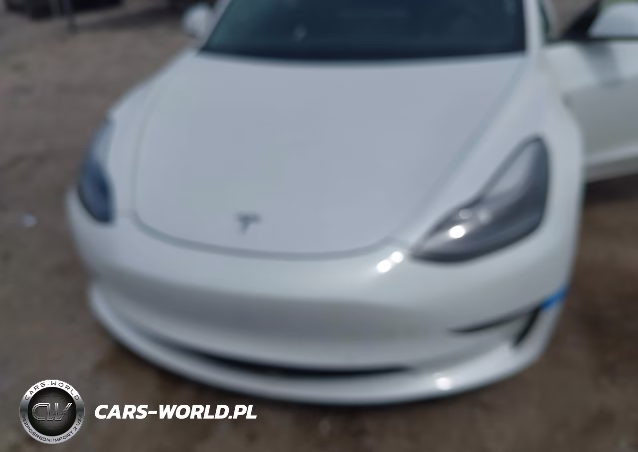 2021 Tesla Model 3 Long Range Dual Motor All-Wheel Drive VIN:5YJ3E1EB7MF927650 - 10