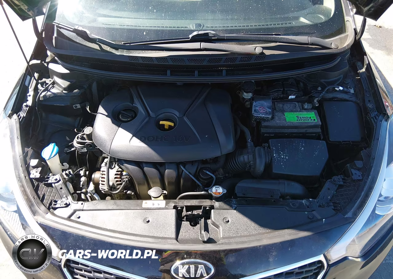 2014 Kia Forte Lx VIN:KNAFX4A68E5078534 - 10