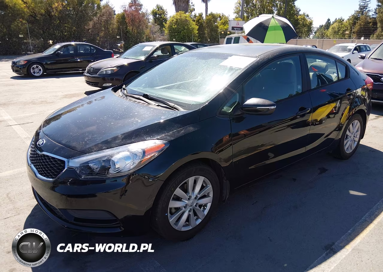 2014 Kia Forte Lx VIN:KNAFX4A68E5078534 - 2