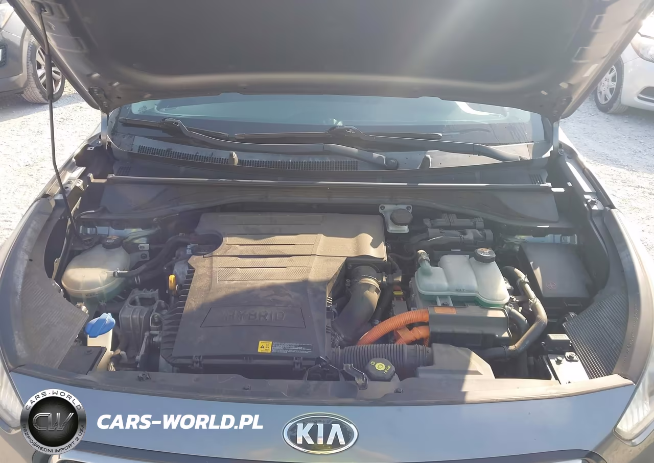 2017 Kia Niro Touring VIN:KNDCE3LC0H5076421 - 10